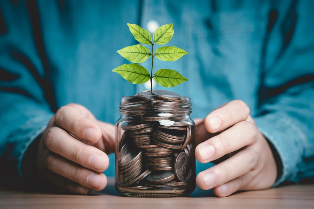 jar with plant growing in money